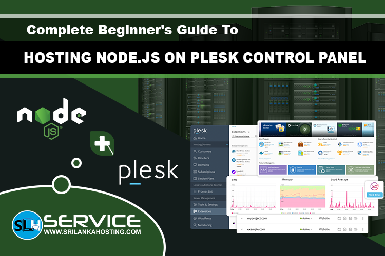 Complete Beginner's Guide to Hosting Node.js on Plesk