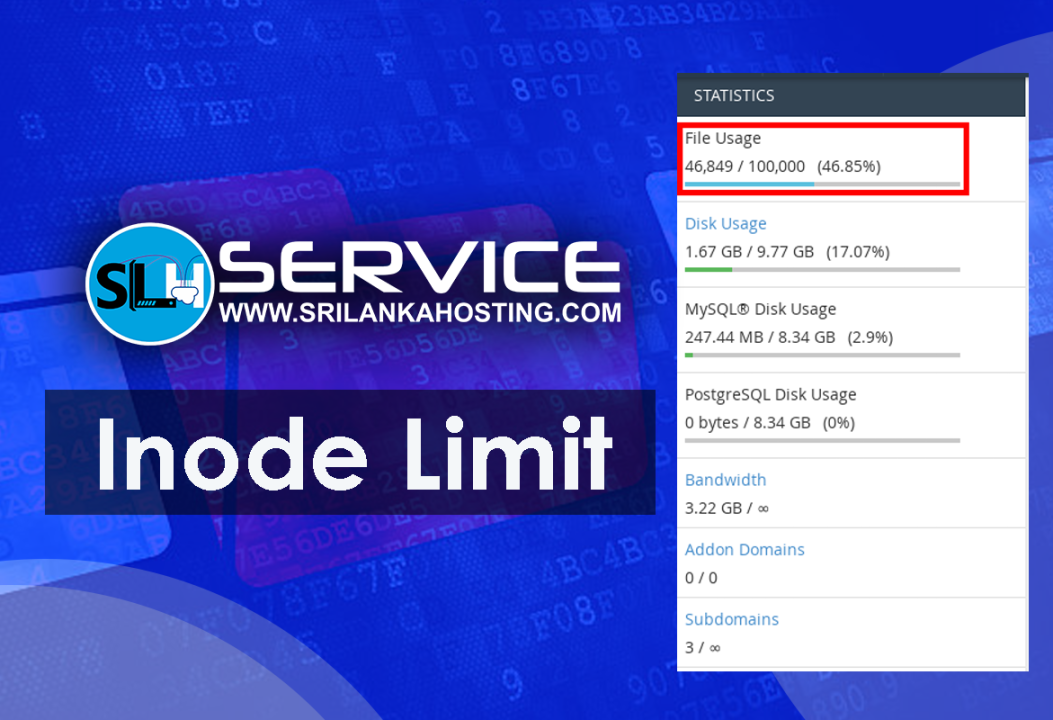 Understanding Inodes in Web Hosting: Usage and Benefits with SriLanka Hosting