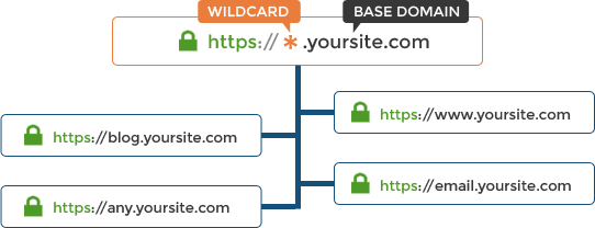 wildcard srilankahosting ssl